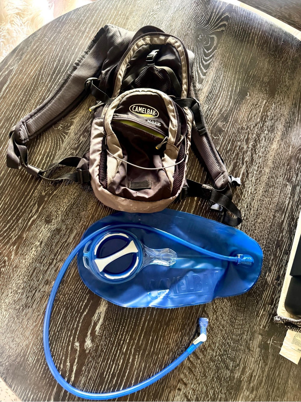 Camelbak Brown and Black Hydration Backpack with Blue Reservoir